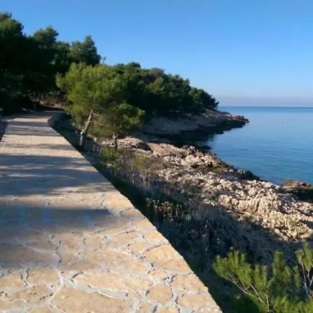 Appartement Kiara Near The